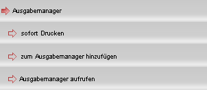 Aktionen - Ausgabemanager